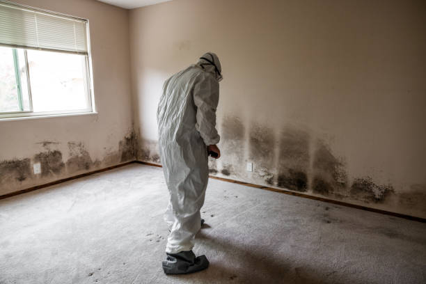 Best Industrial Mold Remediation  in Marshalltown, IA